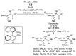Scheme 25