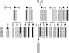Figure  1