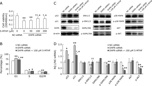 Fig. 7