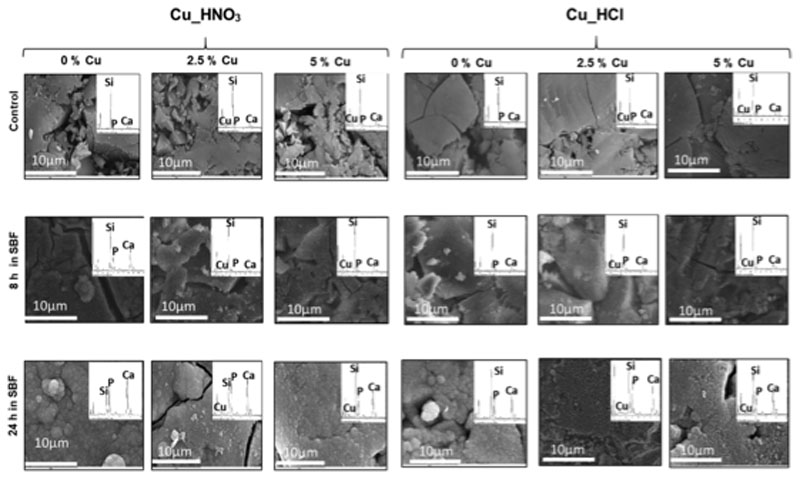 Fig. 8