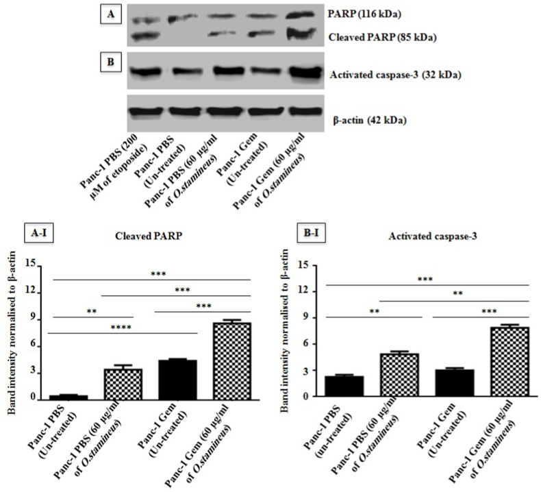 Fig. 8