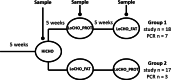 Figs1