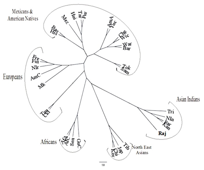 FIGURE 3