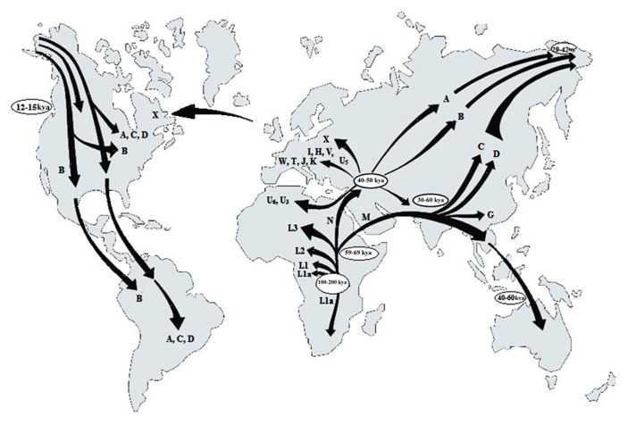 FIGURE 1