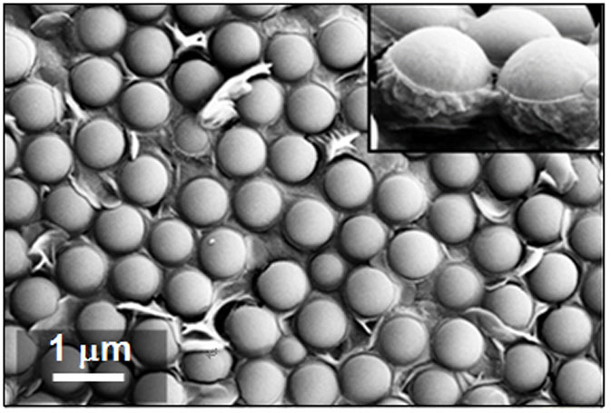 Figure 5