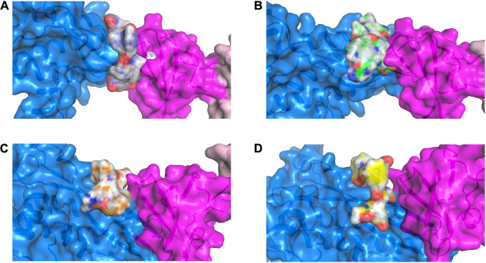 FIGURE 2