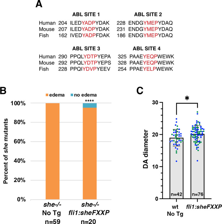 Fig 6