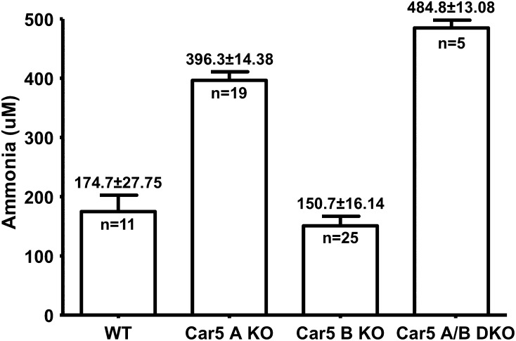 Fig. 5.