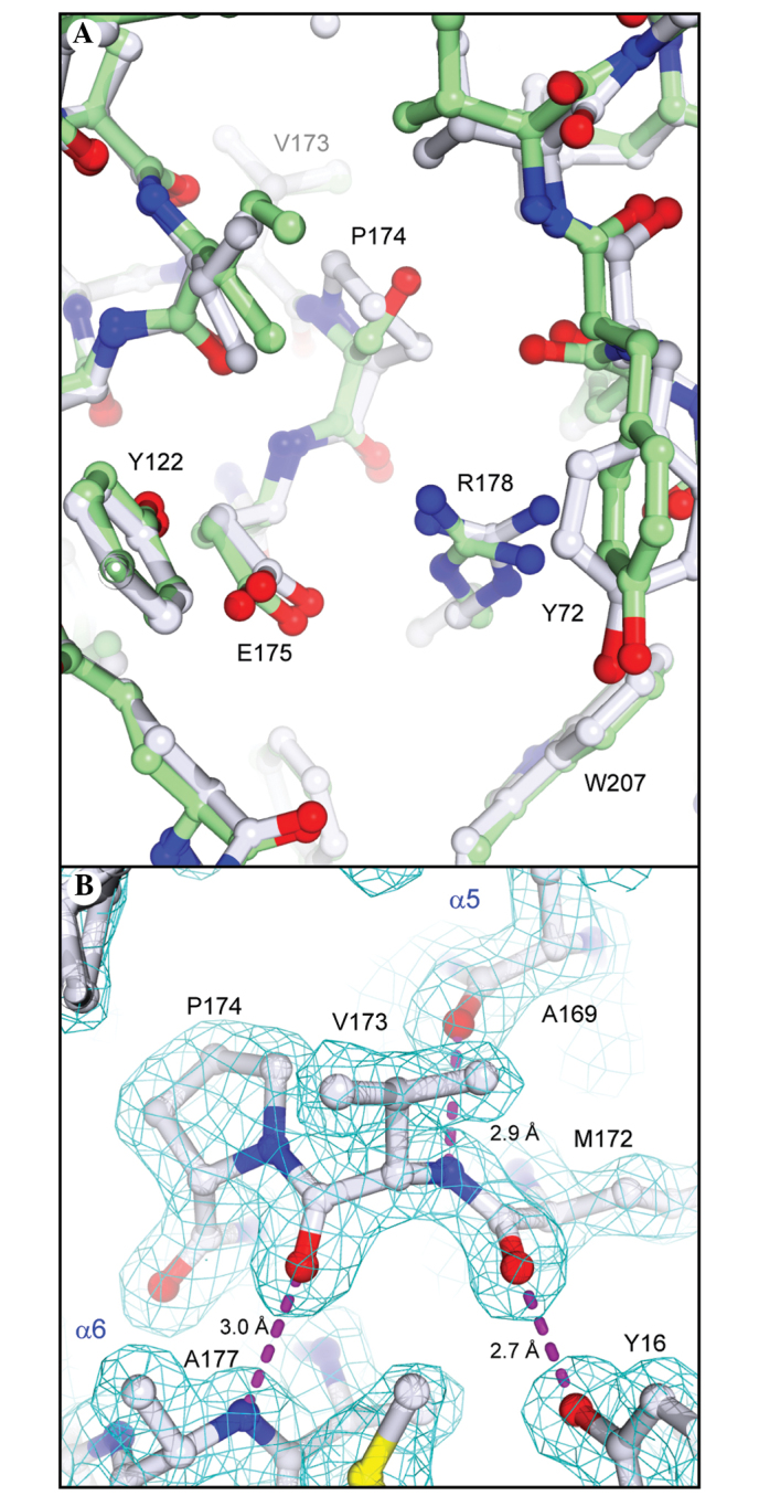 Figure 5