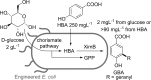 Scheme 7