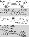 Scheme 8