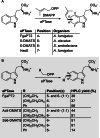 Scheme 5