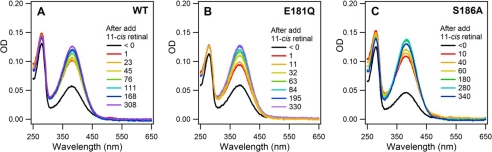 FIGURE 4.