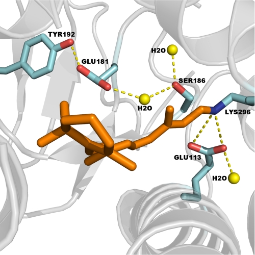 FIGURE 1.