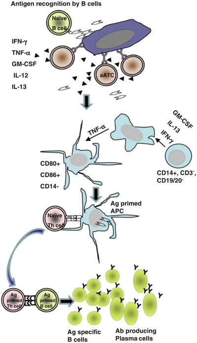 Fig. 6