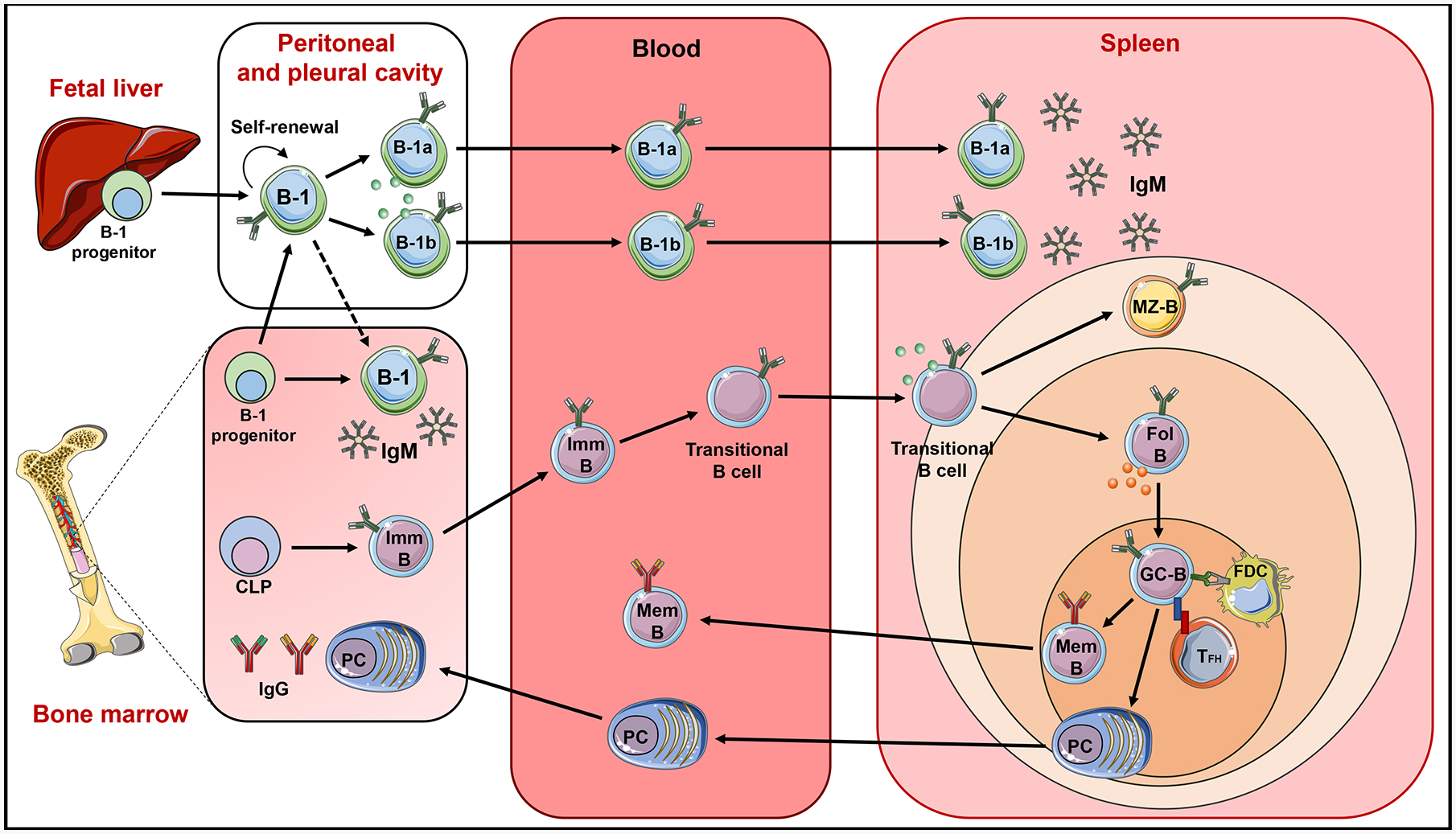 Figure 1: