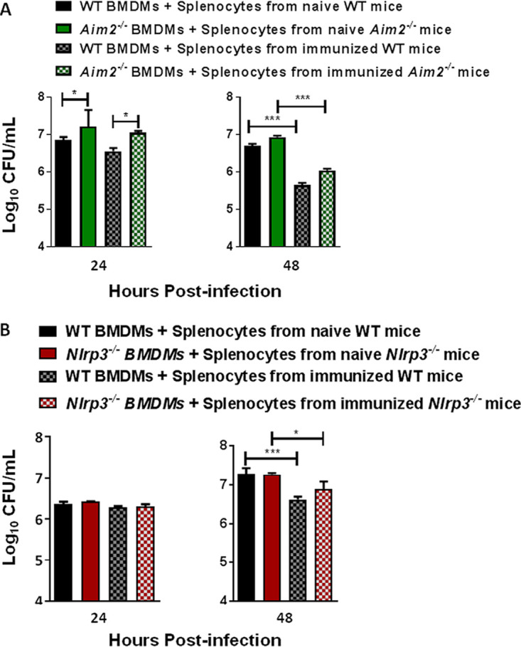 FIG 6