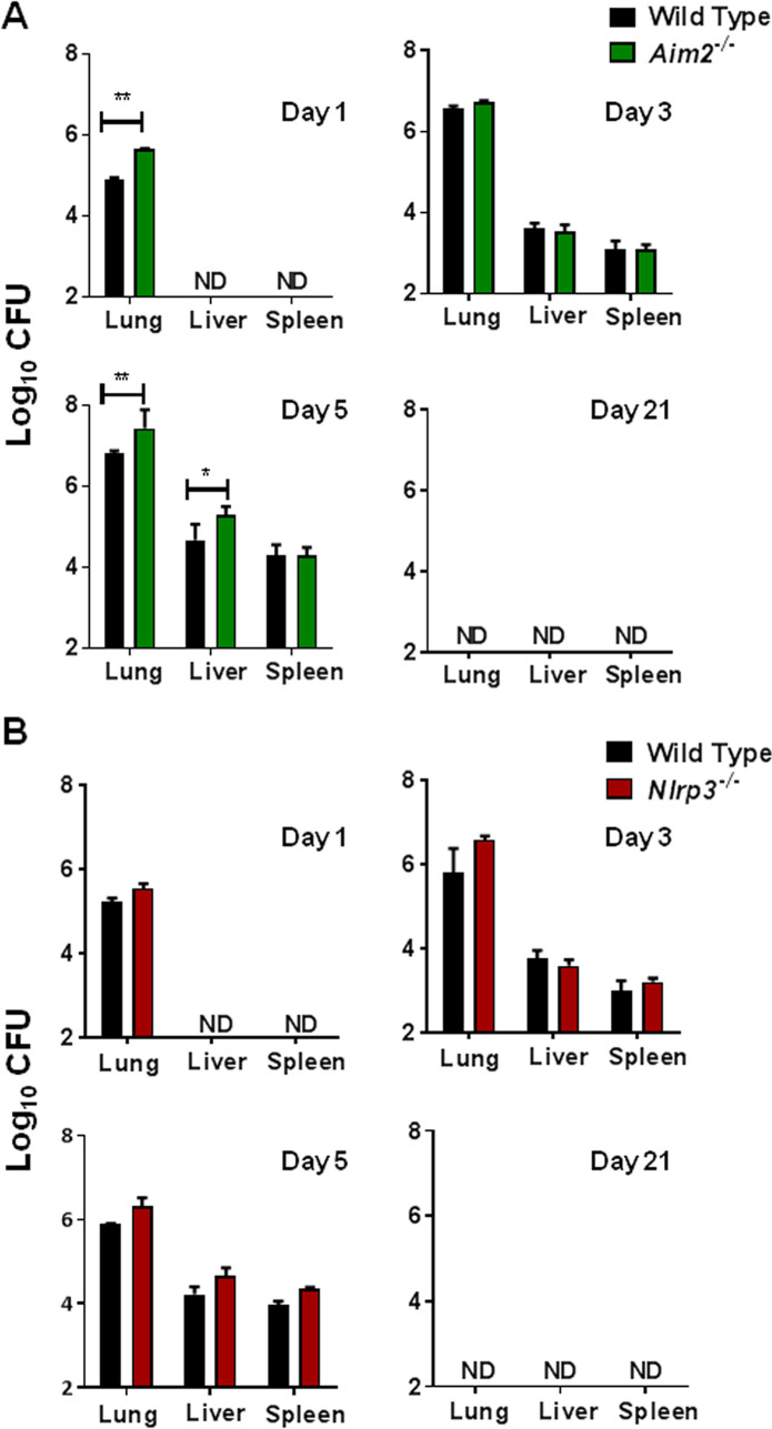 FIG 2