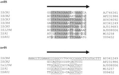 FIG. 10.