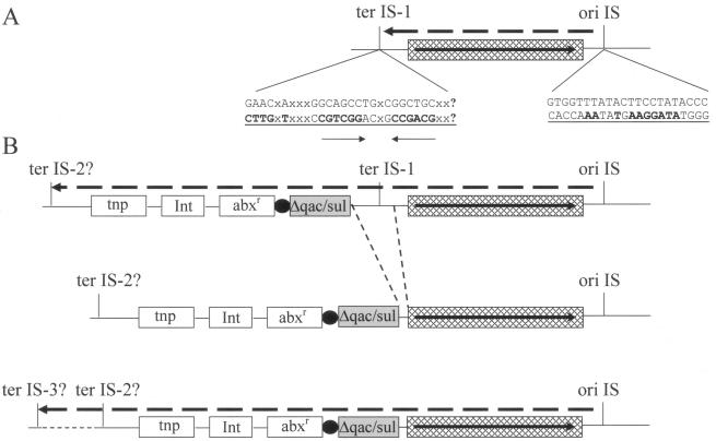 FIG. 11.