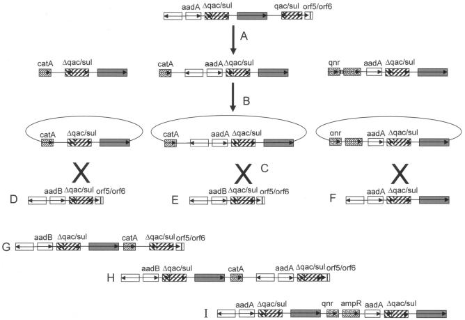 FIG. 12.