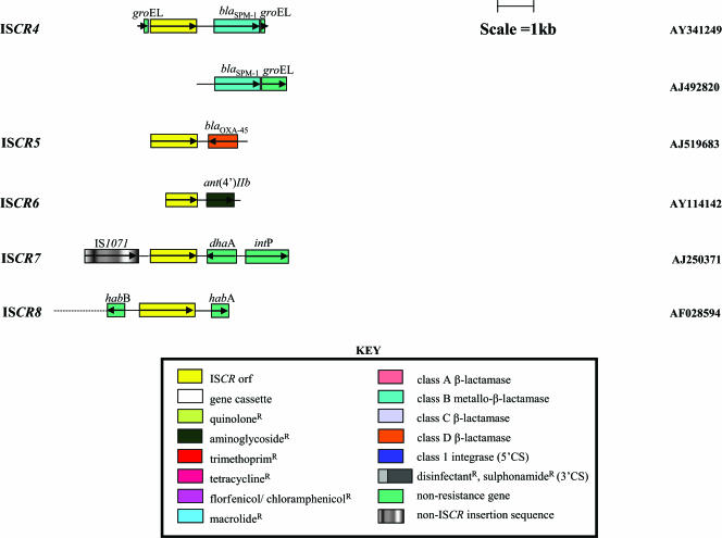 FIG. 4.