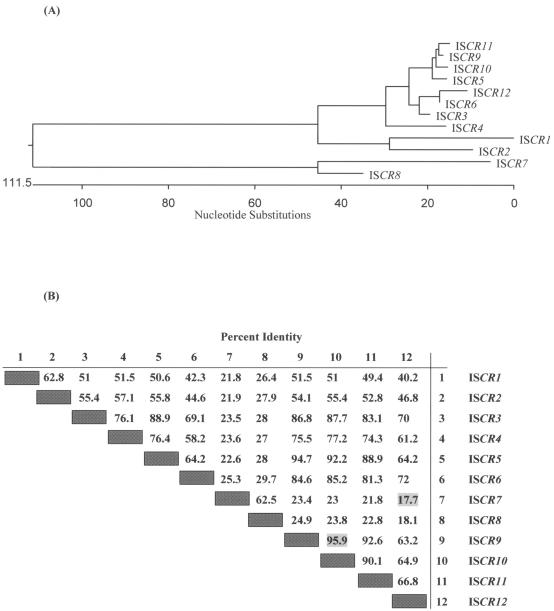 FIG. 5.