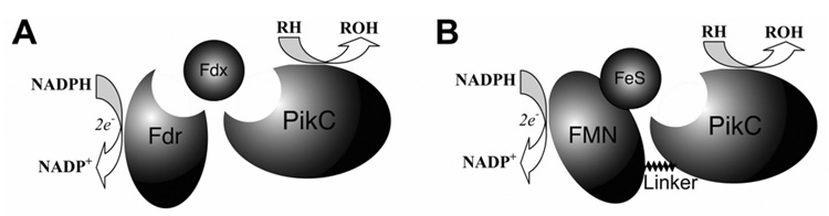 Scheme 2