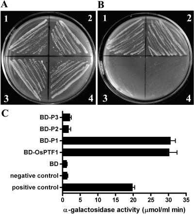 Figure 3.