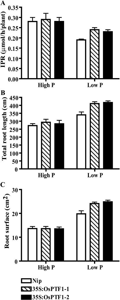 Figure 6.