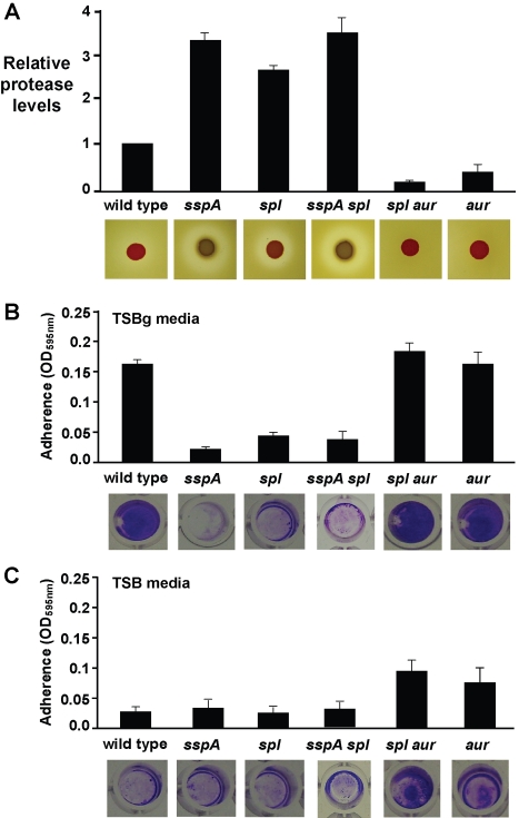 Figure 10