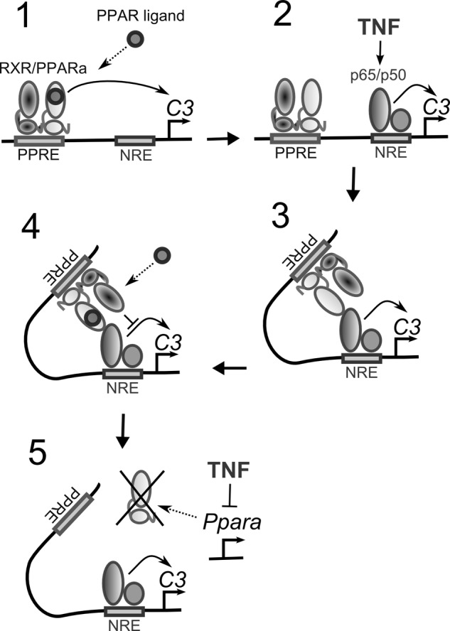 FIGURE 7.