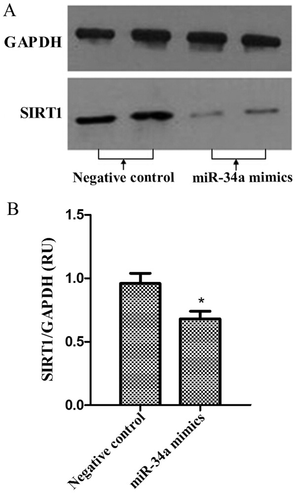 Figure 5.