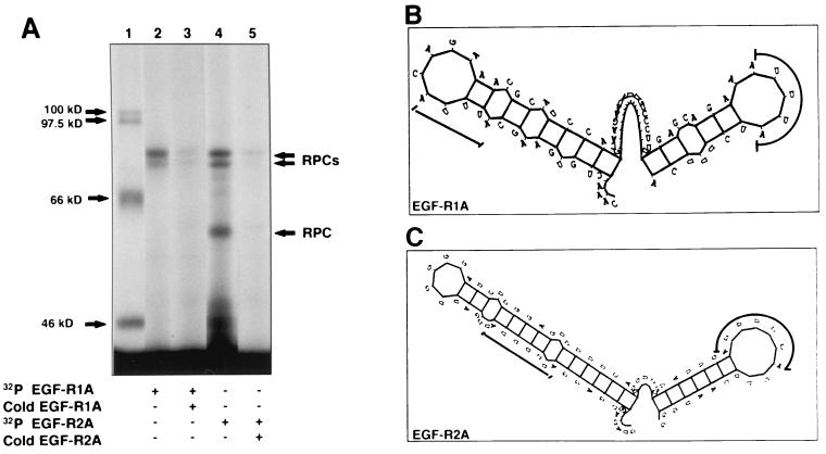 FIG. 8