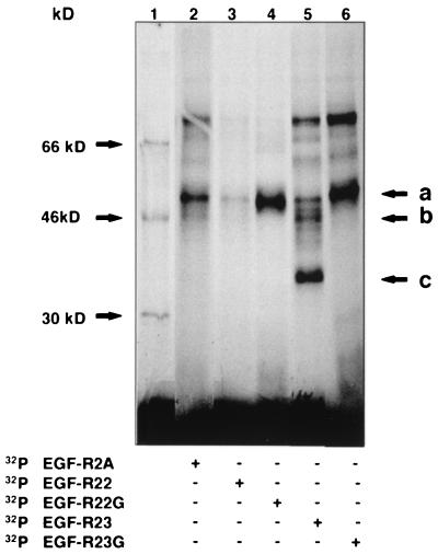 FIG. 10