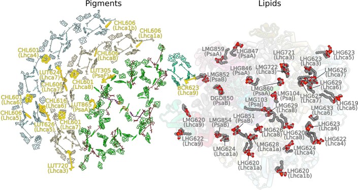 Extended Data Fig. 9