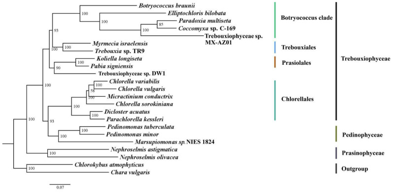 Figure 5