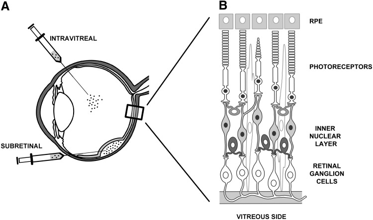 FIG. 1.