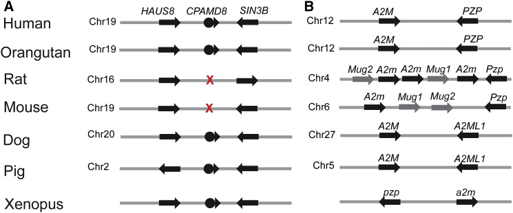 Figure 6