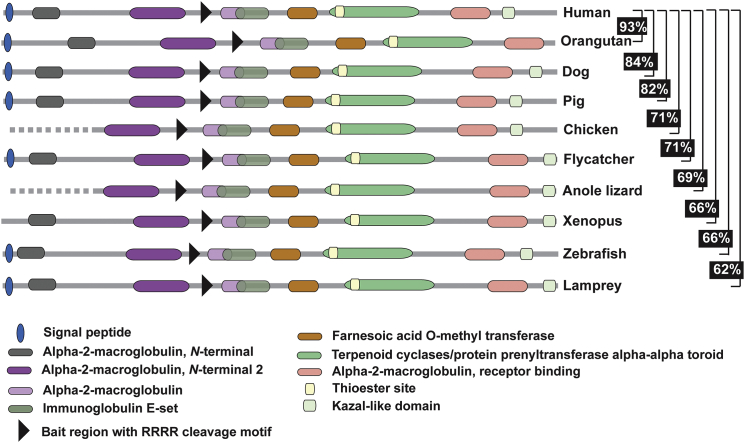 Figure 5