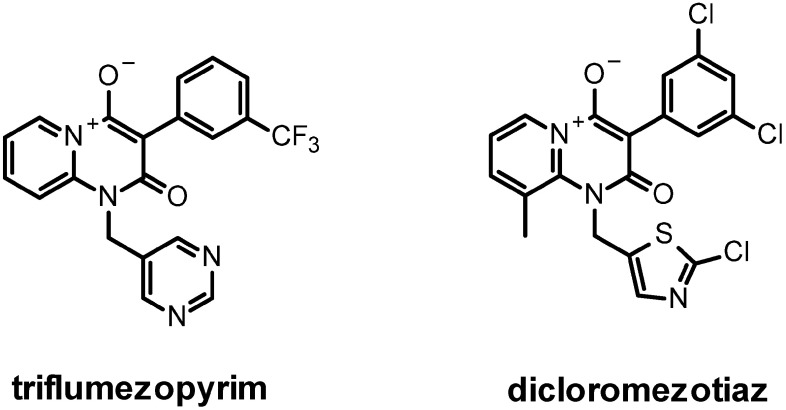 Fig. 6. Mesoionics.