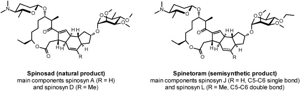 Fig. 9. Structure of spinosyns and spinetoram.