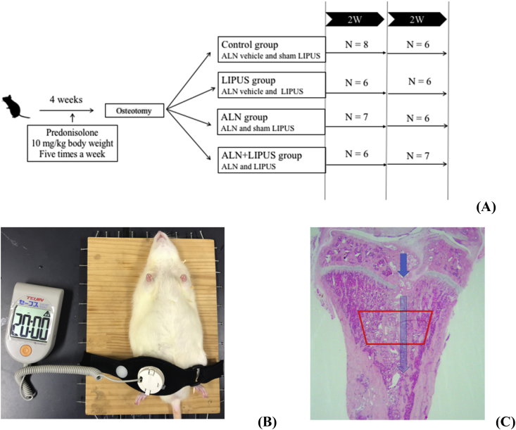 Fig. 1