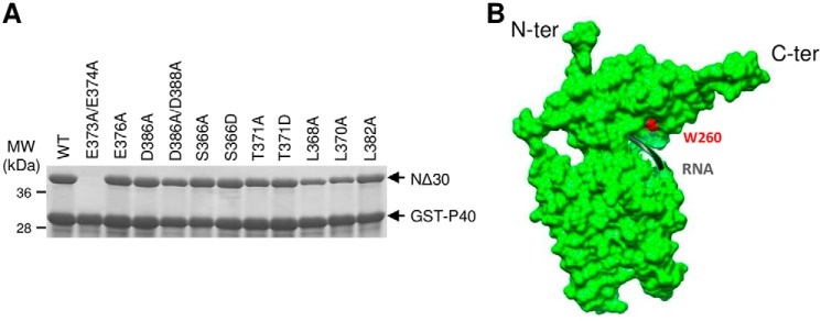 Figure 7.