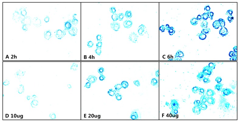 Figure 10