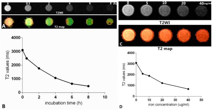 Figure 12