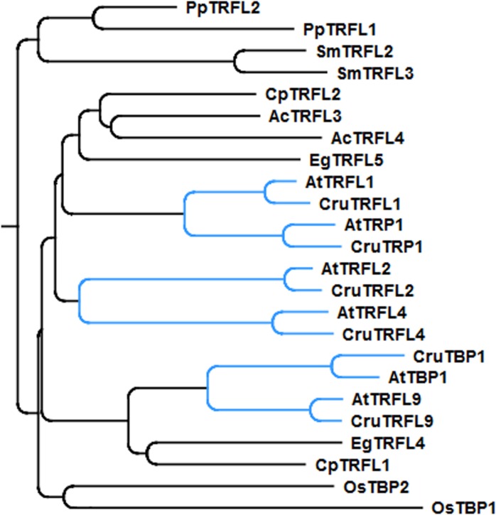 FIGURE 1