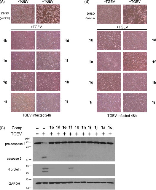 Fig. 3