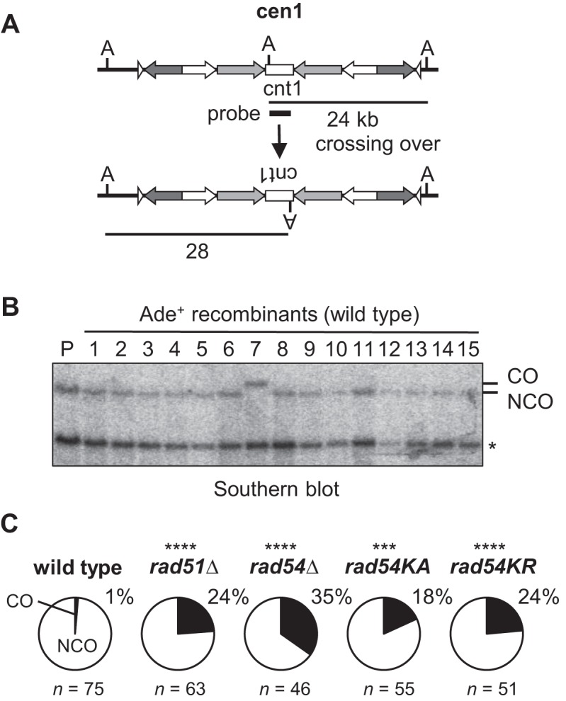 Figure 5.