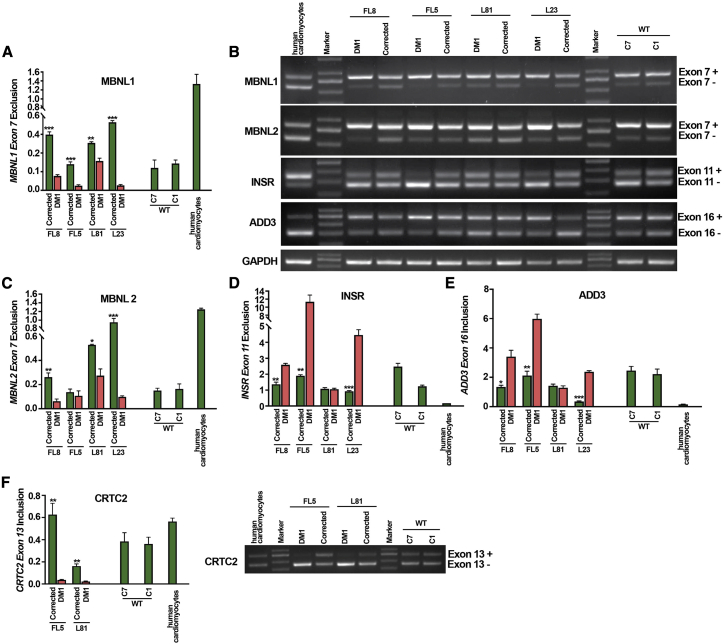 Figure 6